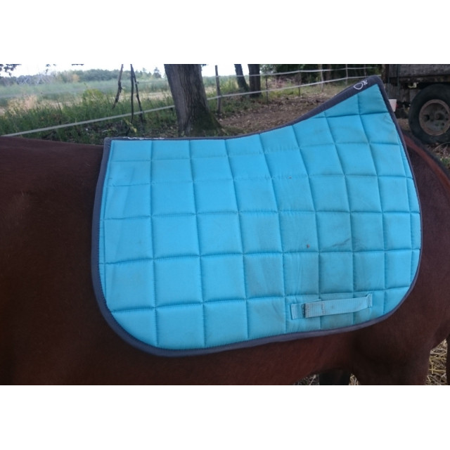 Tapis bleu turquoise