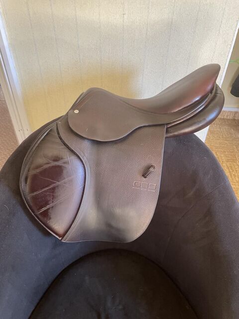 Selle GBS