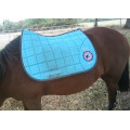 Tapis bleu turquoise