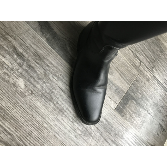 Bottes cavallo insignis