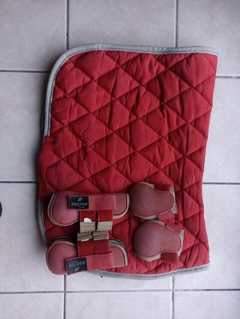 Ensemble guêtres+ tapis rouge