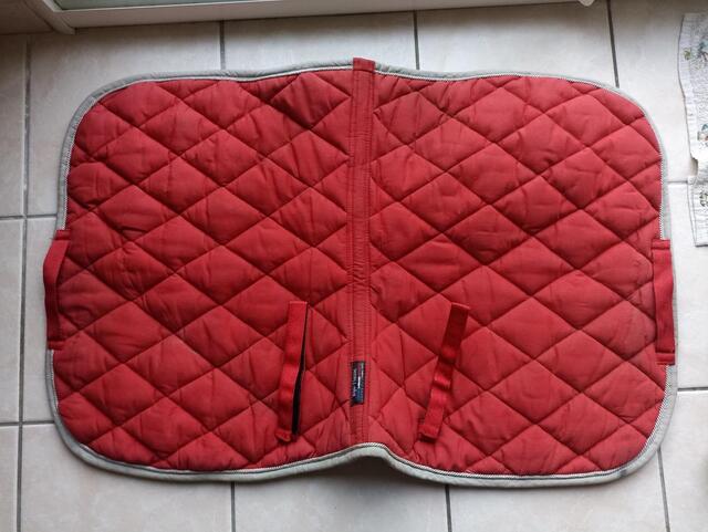 Tapis rouge Equithème