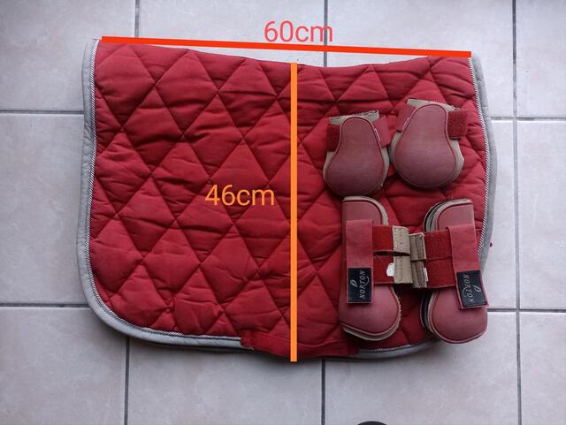 Tapis rouge Equithème