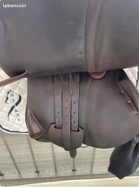 Selle Antares 17,5