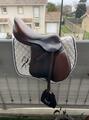 Selle Antares 17,5