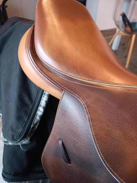 Selle terry's
