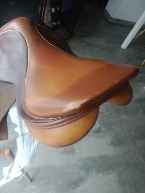 Selle terry's