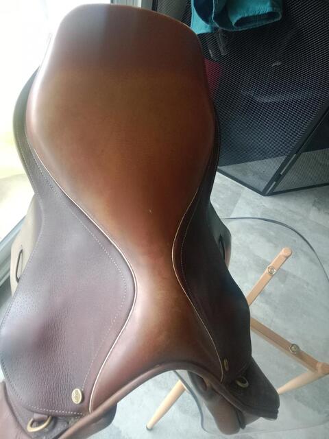 Selle terry's