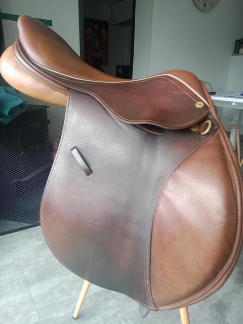 Selle terry's