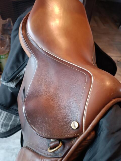 Selle terry's