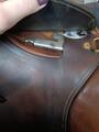 Selle terry's