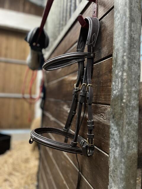 Filet horze, taille poney