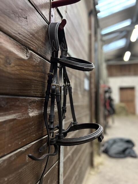 Filet horze, taille poney