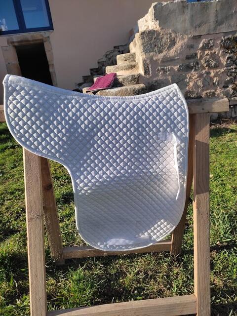 Tapis forme dressage