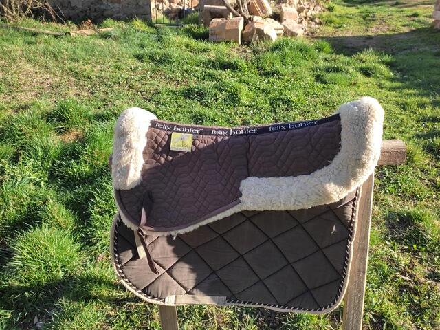 Amortisseur mouton