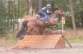 Selle Forestier