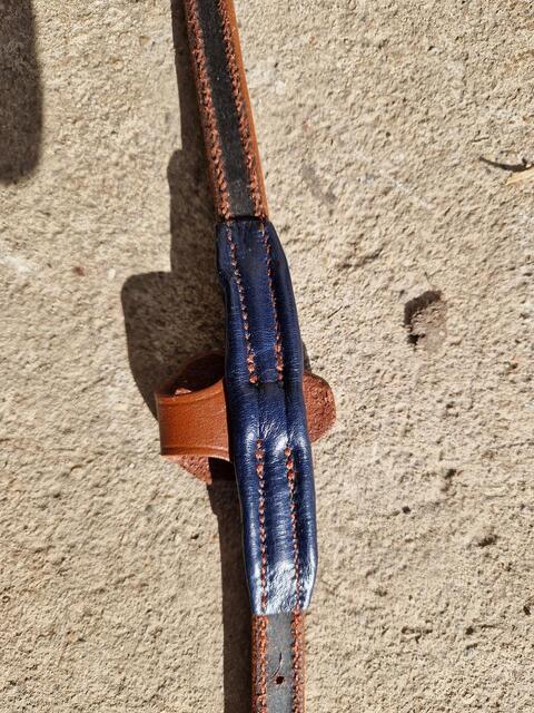 Noseband camel