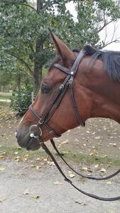 Filet Cheval