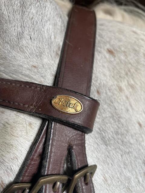 Filet chetak taille cheval havane