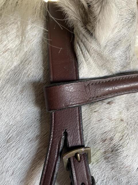 Filet chetak taille cheval havane