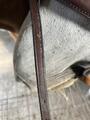 Filet chetak taille cheval havane