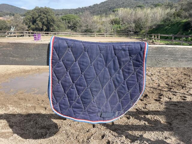 tapis