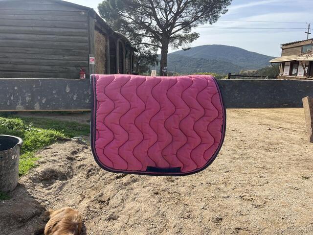 tapis