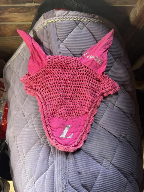 bonnet