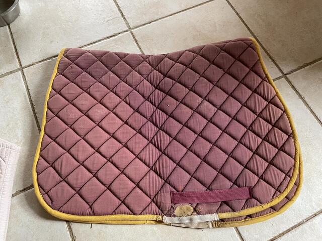 Lot de 4 tapis taille poney A/Shetland