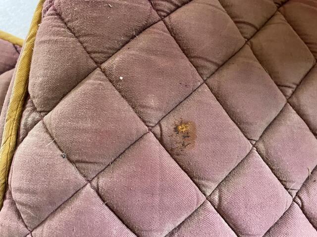 Lot de 4 tapis taille poney A/Shetland