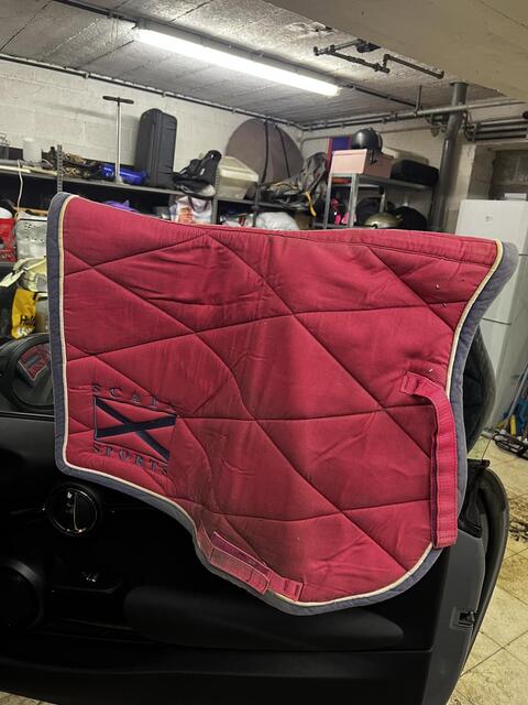 Tapis rose