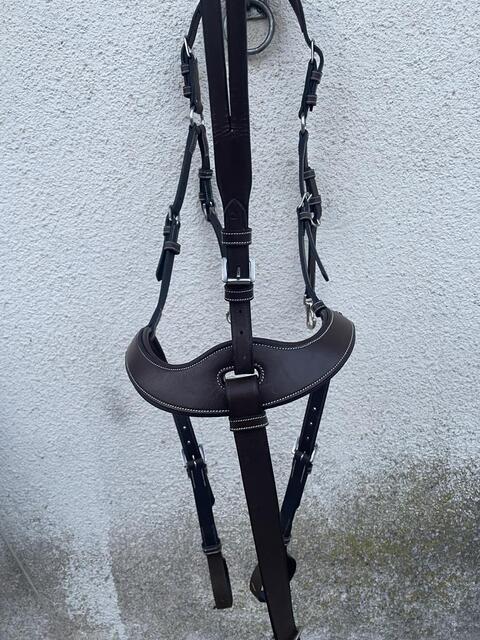 Collier de chasse jump’in
