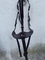 Collier de chasse jump’in