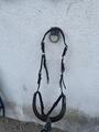 Collier de chasse jump’in