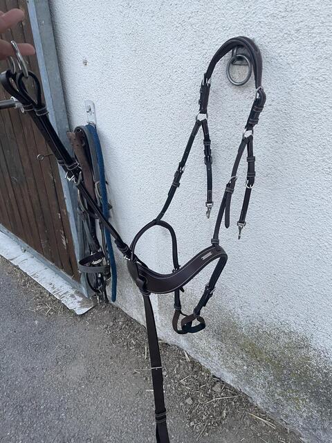 Collier de chasse jump’in