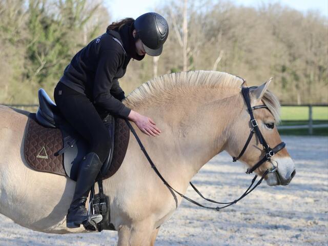 Selle Thorowgood T8 dressage