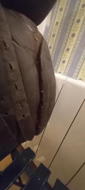 Selle de dressage