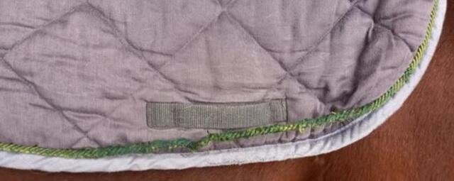 Tapis