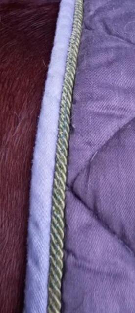 Tapis