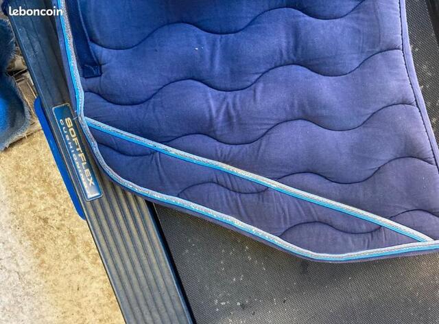 Tapis
