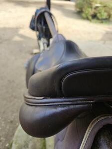 Selle Ikonic 17'5