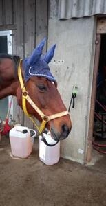 Bonnet bleu fait main