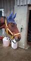 Bonnet bleu fait main