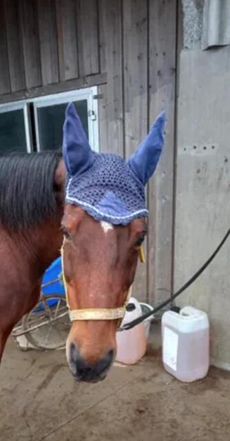 Bonnet bleu fait main