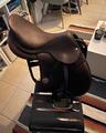 Selle mixte meyer