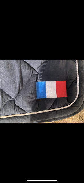 Tapis bleu marine