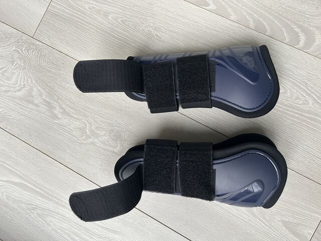Protections cheval