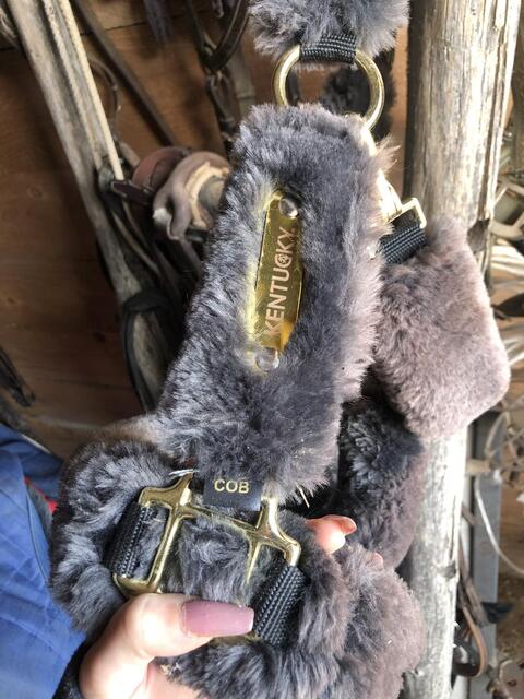 Licol KENTUCKY COB