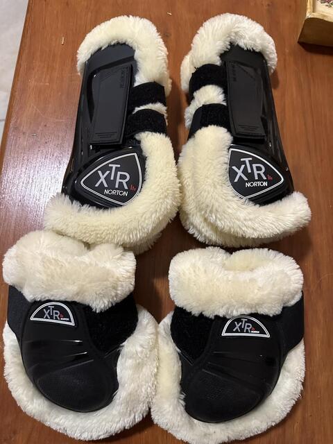 Ensemble protection XTR norton