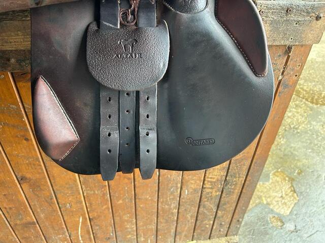 Selle Antares